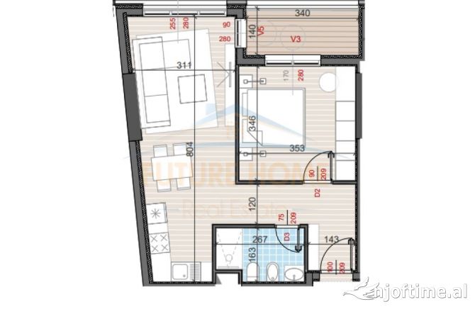 Shtepi ne shitje 1+1 ne Tirane - 115,125 Euro