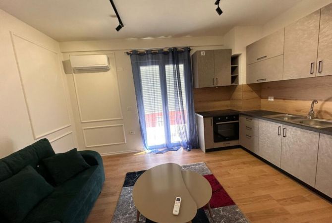 Shtepi me qera Apartament ne Tirane, 1+1, Mobilimi E mobiluar, Pagesa 550  Euro.