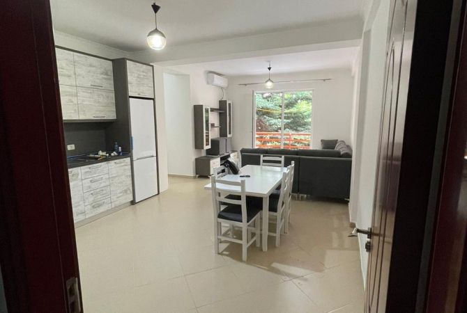 Shtepi me qera Apartament ne Tirane, 2+1, Mobilimi E mobiluar, Pagesa 500  Euro.
