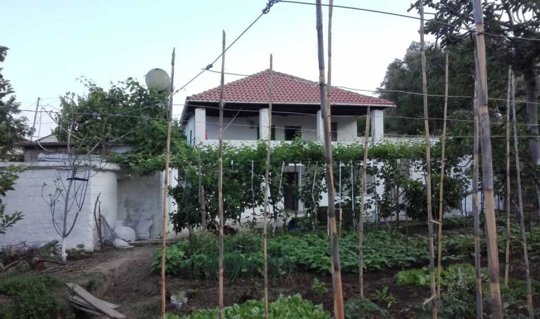 Foto 2