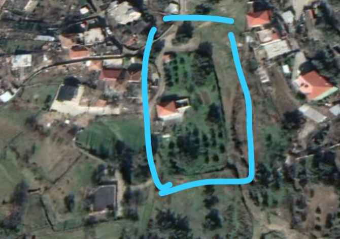 Truall ose Toke  ne Tirane - 240,000 Euro