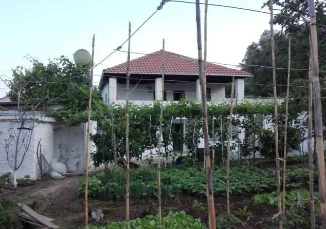 Truall ose Toke  ne Tirane - 240,000 Euro