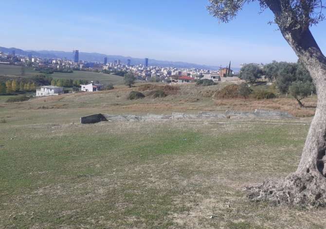 Truall ose Toke ne Tirane - 1,320,000 Euro