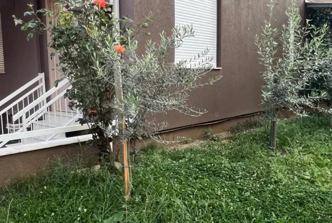 Shtepi me qera Garsoniere ne Tirane - 25,000 Leke