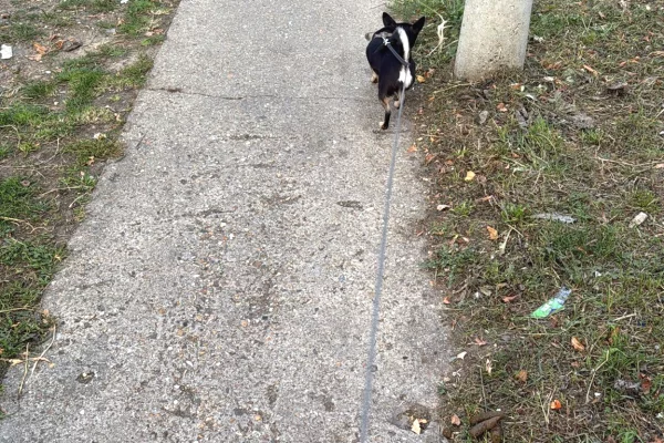 Shtepi me qera 1+1 ne Tirane - 400 Euro