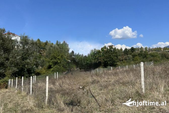 Terreno in vendita  a Tirana - 92,610 Euro