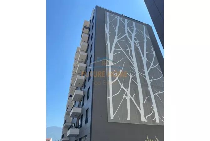 Shtepi me qera Apartament ne Tirane, 1+1, Mobilimi E mobiluar, Pagesa 750  Euro.