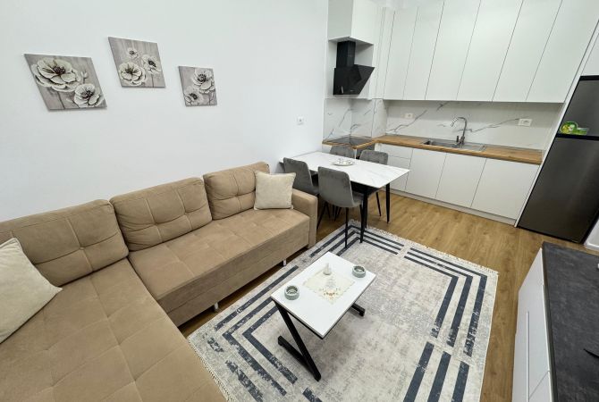 Shtepi me qera 1+1 ne Tirane - 400 Euro