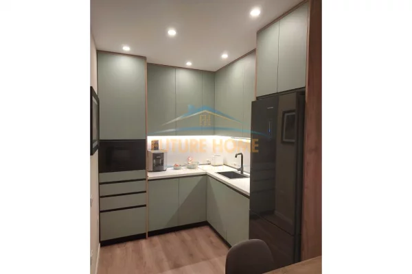 Shtepi me qera Apartament ne Tirane, 2+1, Mobilimi E mobiluar, Pagesa 1,000  Euro.