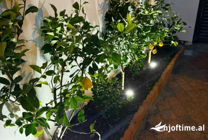 Ambient biznesi me qera 3+1 ne Tirane - 5,000 Euro