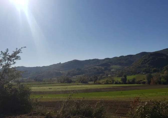 Truall ose Toke ne Tirane - 50,000 Euro
