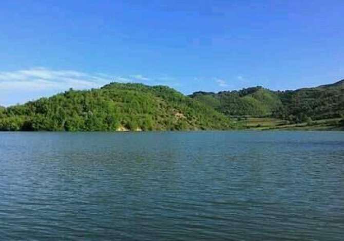 Truall ose Toke ne Tirane - 150,000 Euro