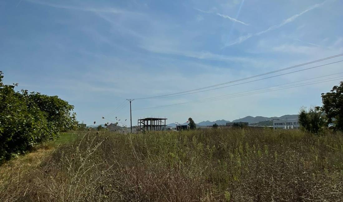 SHITET 11.000m2 TOKE NE VORE,VIJE E PARE BUZE DYTESORES.