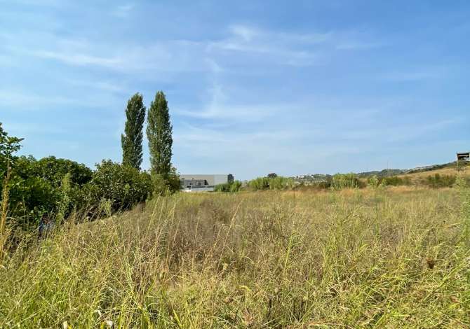 SHITET 11.000m2 TOKE NE VORE,VIJE E PARE BUZE DYTESORES.