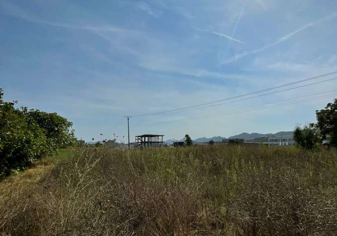 SHITET 11.000m2 TOKE NE VORE,VIJE E PARE BUZE DYTESORES.