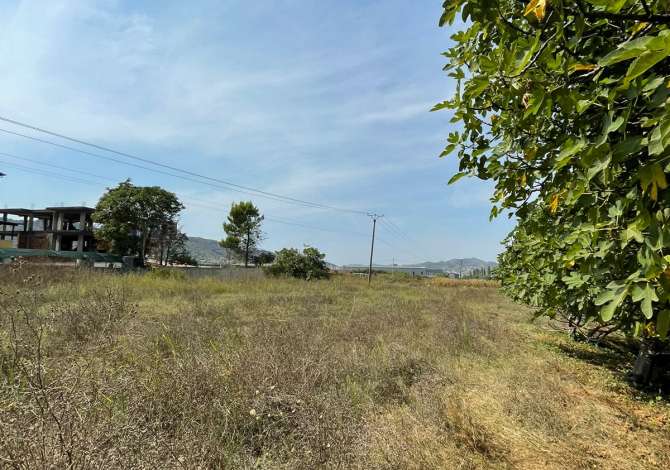 SHITET 11.000m2 TOKE NE VORE,VIJE E PARE BUZE DYTESORES.