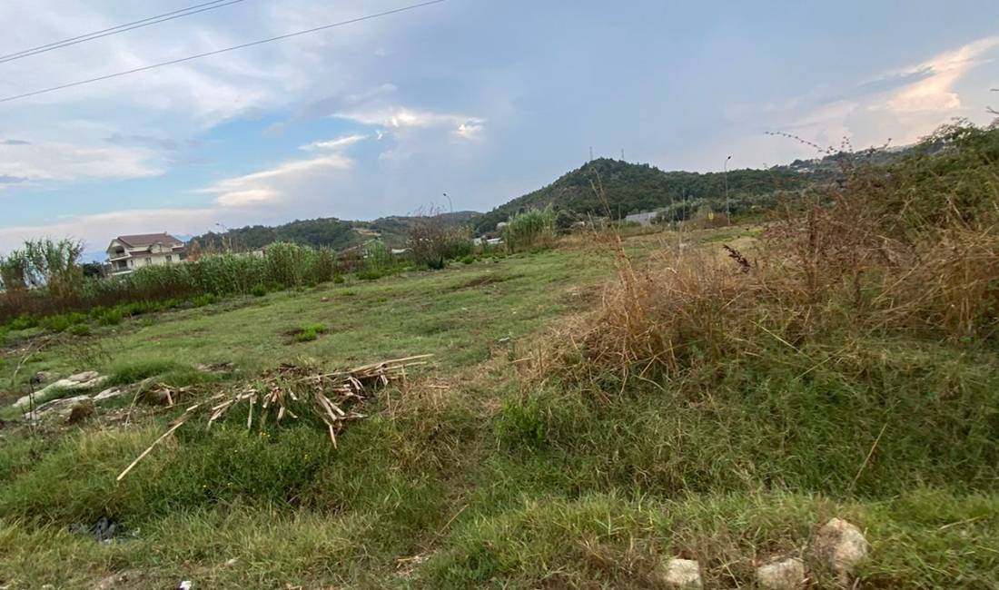 Foto 1