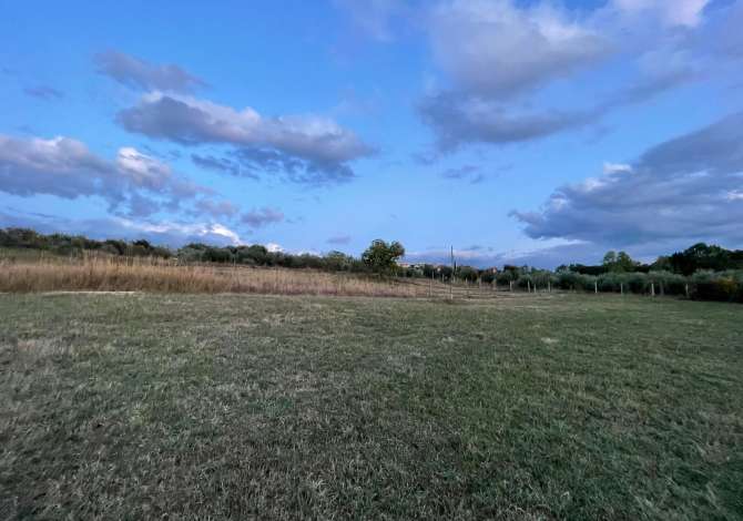 Truall ose Toke ne Tirane - 4,800,000 Euro