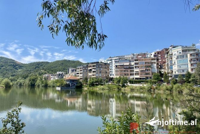 Ambient biznesi me qera 3+1 ne Tirane - 2,200 Euro