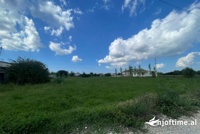 Truall ose Toke  ne Tirane - 220,000 Euro