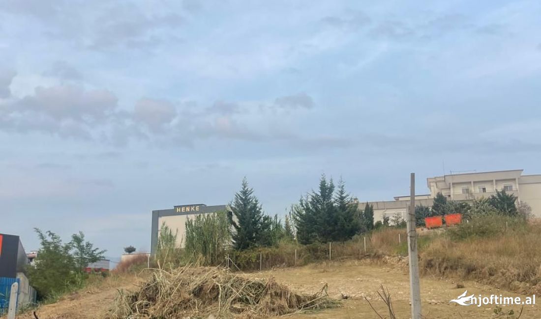 Foto 1