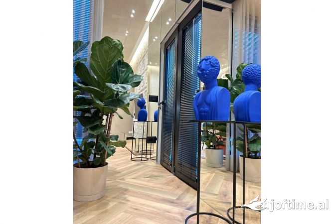 Shtepi me qera Apartament ne Tirane, 1+1, Mobilimi E mobiluar, Pagesa 1,000  Euro.