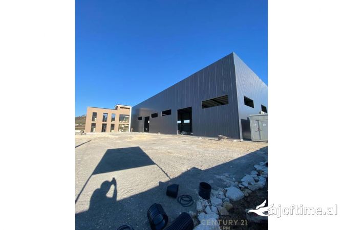 Ambient biznesi me qera 4+1 ne Tirane - 6,000 Euro