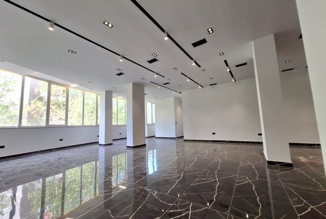 Ambient biznesi me qera 3+1 ne Tirane - 1,000 Euro