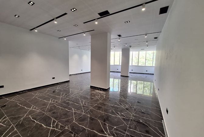 Ambient biznesi me qera 3+1 ne Tirane - 1,000 Euro