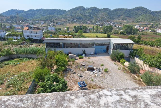 Ambient biznesi me qera 4+1 ne Tirane - 3,000 Euro