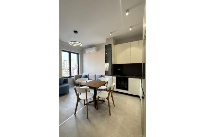 Apartment for rent in Tirana 1+1, Furnished