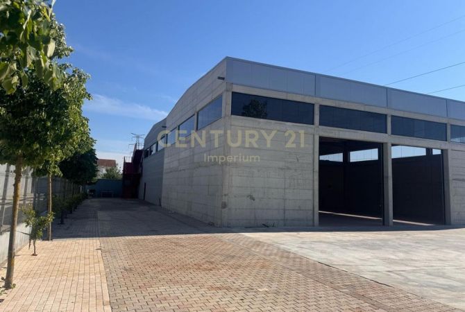 Japim me qira kapanon Shum Prane Aeroportit Nene Tereza