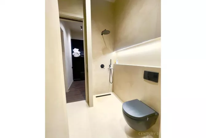 Shtepi me qera Apartament ne Tirane, 1+1, Mobilimi E mobiluar, Pagesa 700  Euro.