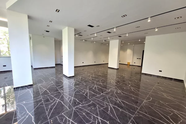 Ambient biznesi me qera 1+1 ne Tirane - 1,000 Leke