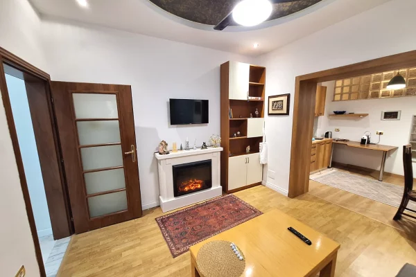 Apartment for rent in Tirana 1+1, Furnished