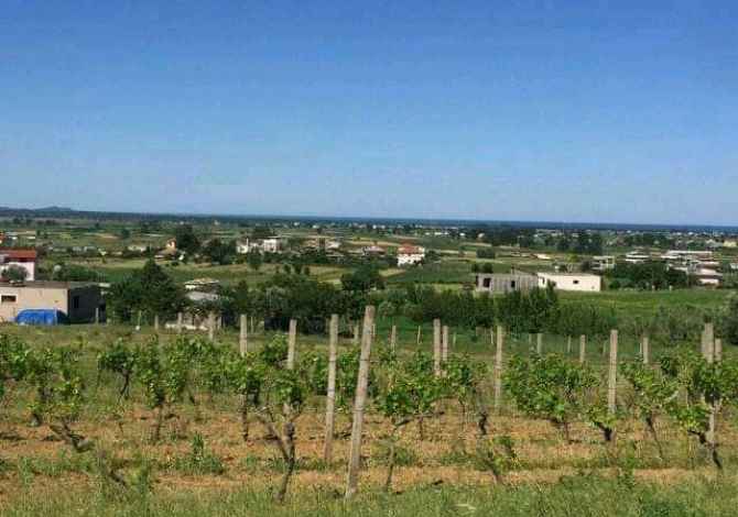 Shitet toke, koder me pamje nga deti 