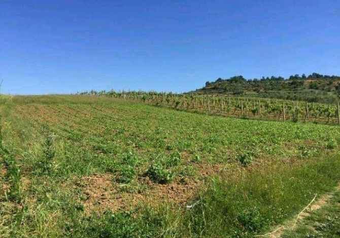 Terreno in vendita  a Durazzo - 17,000 Euro