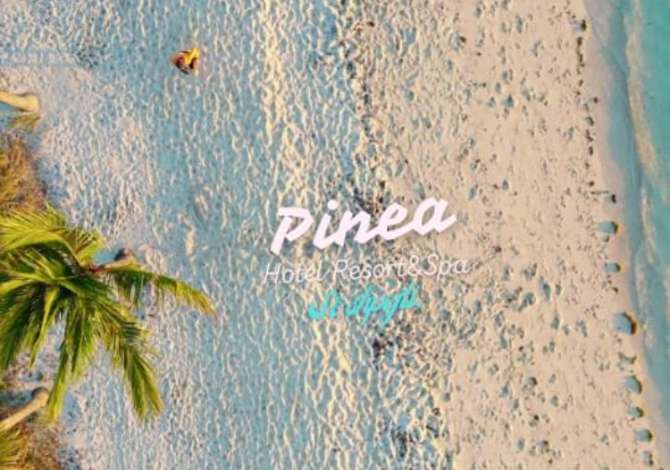 Njoftime Pune ne Durres, Profesioni Banakiere, Kamariere, Sanitare, Punonjese lavanterie , , Pagesa Me Marreveshje.