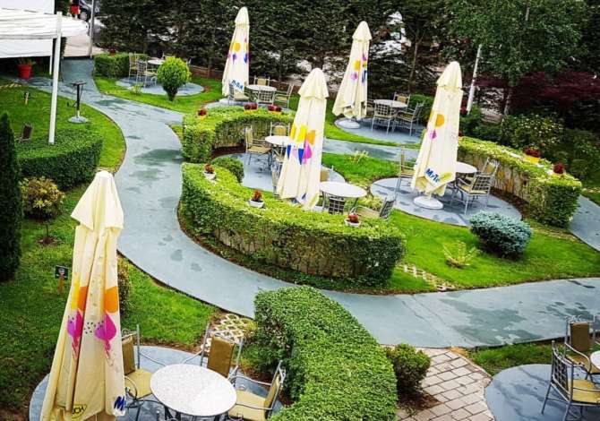 Njoftime Pune ne Tirane, Profesioni Kamarier/e, Banakier/e  , , Pagesa Me Marreveshje.