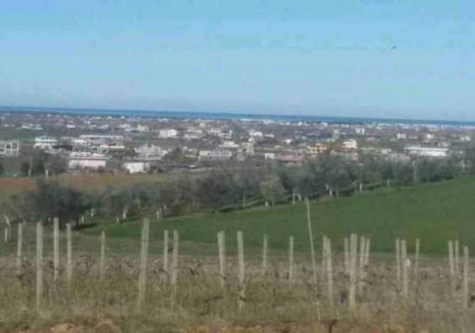 Terreno in vendita  a Durazzo - 17,000 Euro