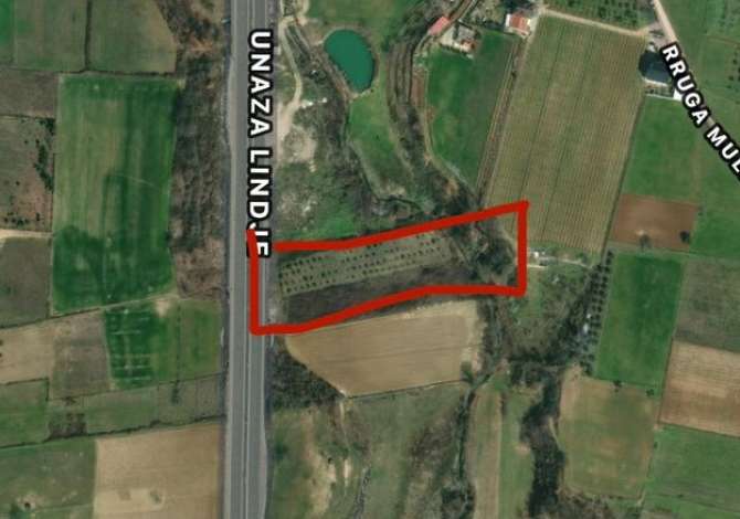 Truall ose Toke ne Tirane - 300,000 Euro
