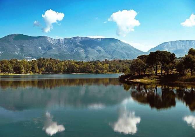 Truall ose Toke  ne Tirane - 210,000 Euro