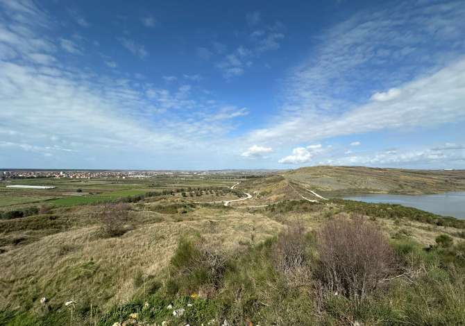 Divjake, toke ne shitje per panele diellore