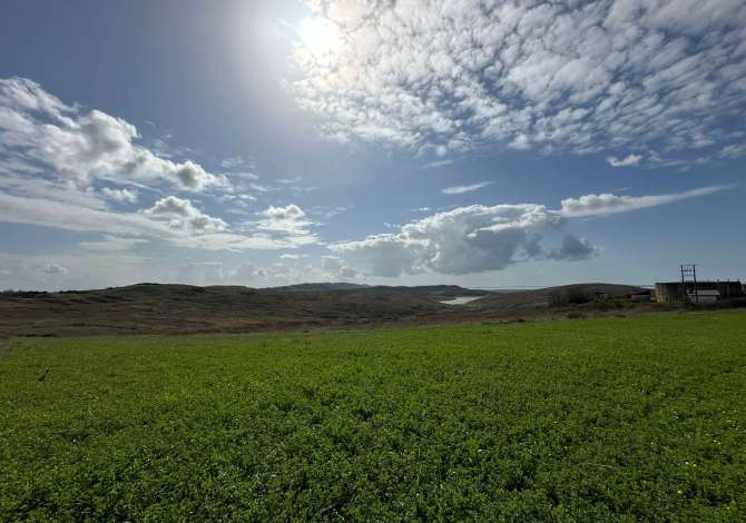 Divjake, toke ne shitje per panele diellore