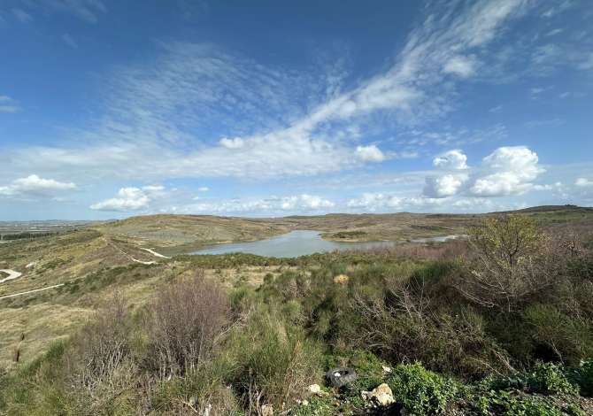 Divjake, toke ne shitje per panele diellore