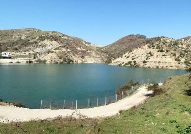 Truall ose Toke ne Tirane - 165,390 Euro