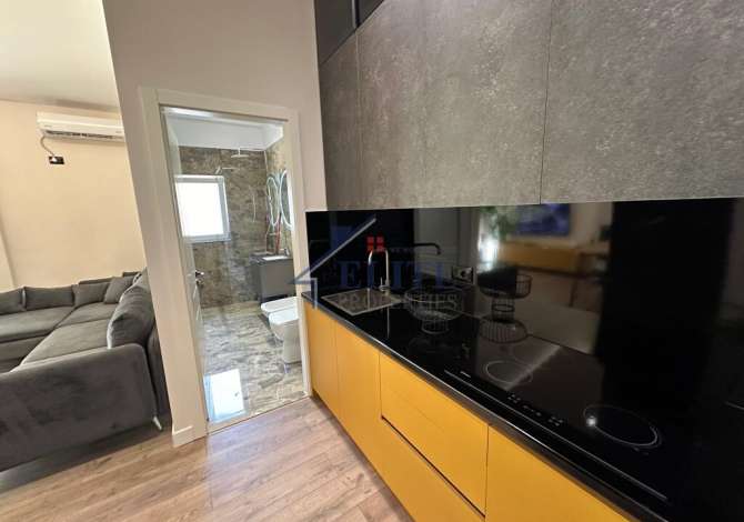 Shtepi me qera 1+1 ne Tirane - 600 Euro