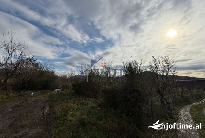 Truall ose Toke  ne Tirane - 301,440 Euro