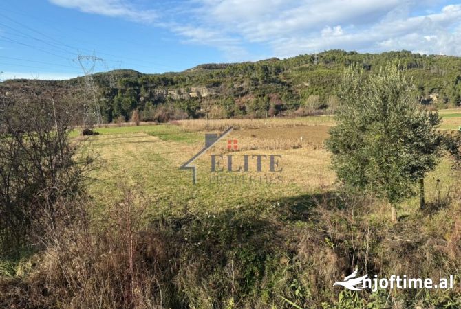 Truall ose Toke  ne Tirane - 196,000 Euro