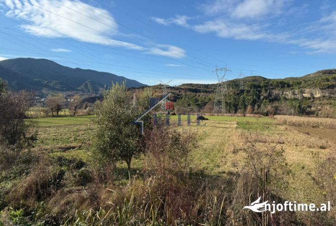 Truall ose Toke  ne Tirane - 196,000 Euro